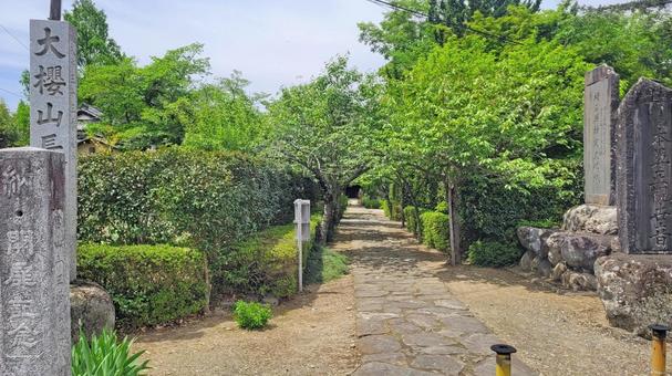 Photo, kikusui temple, enmeizan, approach to the approach, 