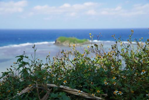 石垣島の美しい海の写真