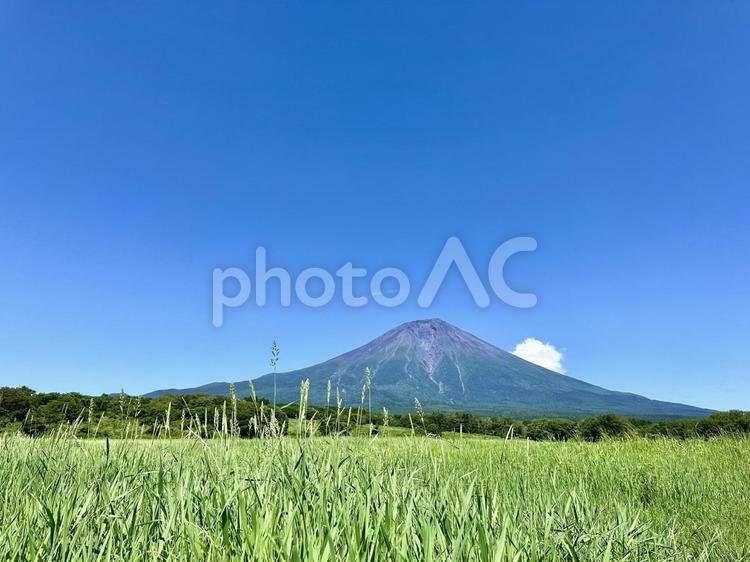 真夏の富士山と大草原 富士山,コピースペース,壁紙の写真素材