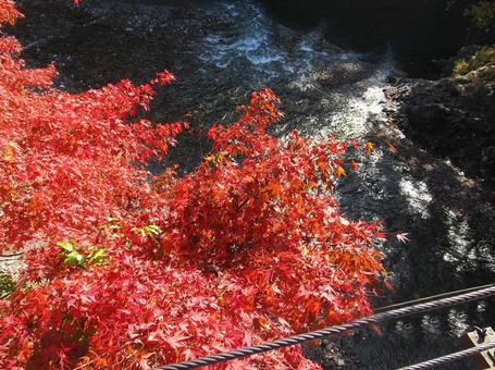 紅葉・奥多摩の渓谷 紅葉・奥多摩の渓谷の写真