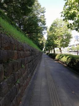 大通り沿いの歩道 大通り沿いの歩道の写真