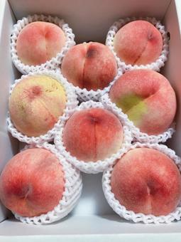 もも もも 果物,フルーツ,ピンクの写真素材
