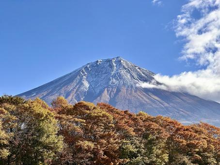富士山と紅葉 富士山,紅葉,秋の写真素材