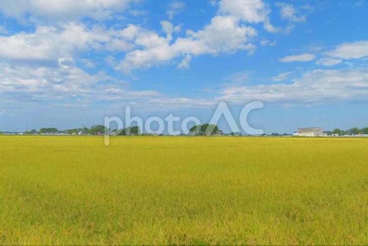 田園風景と青空 田舎の風景,風景,田園風景の写真素材