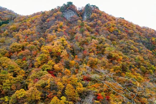 鳴子ダムの紅葉⑶ 秋,紅葉,山の写真素材