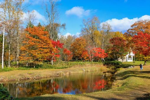 北海道の紅葉 北海道の紅葉 紅葉,秋,池の写真素材