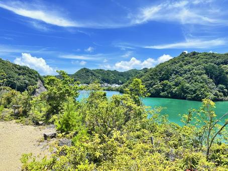 熊野古道 大辺路付近 熊野古道 大辺路付近 那智勝浦町湯川,熊野古道付近,木々の写真素材