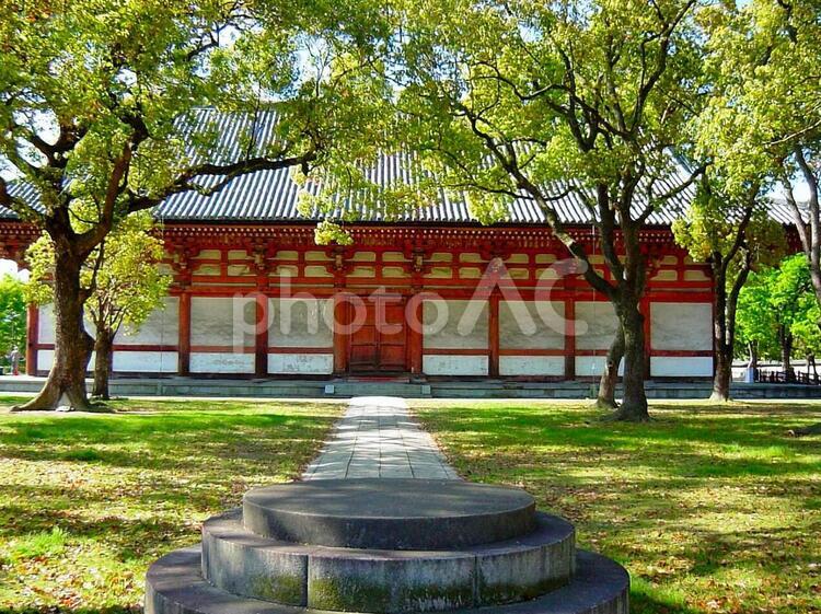 新緑の東寺の風景 東寺,京都,世界遺産の写真素材