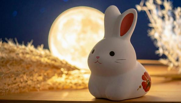 月を見るうさぎの写真