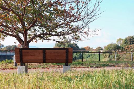 秋の公園のベンチ ベンチ,公園,秋の写真素材