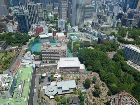 東京タワーからみた景色 東京タワーからみた景色 街並み,東京,自然の写真素材
