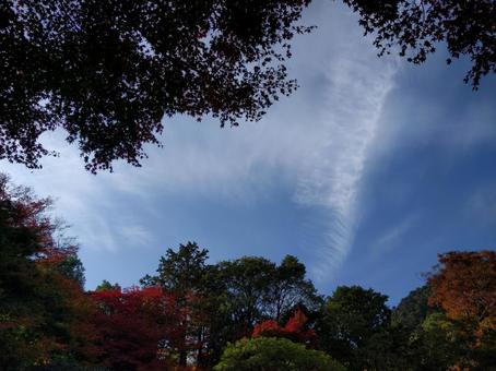 Photo, blue sky, landscape, autumn, 