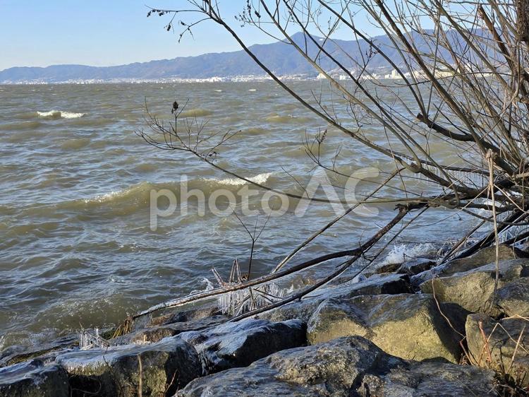 琵琶湖のしぶき氷 しぶき氷,氷の造形,氷の写真素材