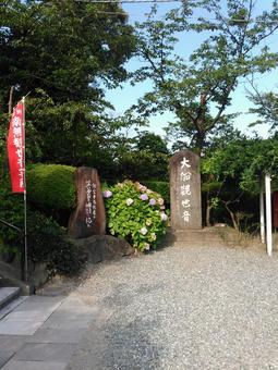 大船観音　入口 大船観音,入口,歴史の写真素材