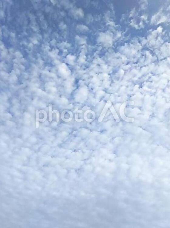秋の空模様 自然,空,色の写真素材