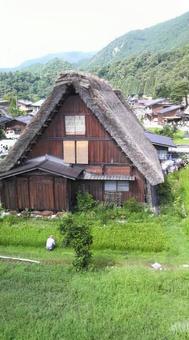 夏の白川郷 夏の白川郷の写真