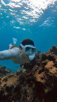 Photo, in the sea, submergence, swim, 