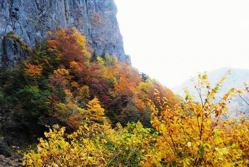 Photo, shinshu, suzaka, yonago waterfall, 
