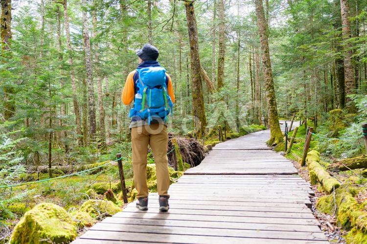 登山をする男性 トレッキング,登山,男性の写真素材