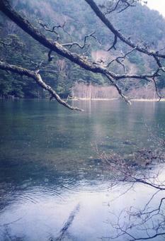 雨の上高地と池と木々02 雨の上高地と池と木々02の写真