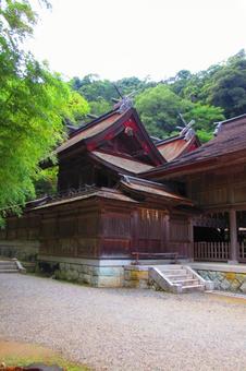 島根県-美保神社-本殿 島根県-美保神社-本殿 美保神社,神社,本殿の写真素材