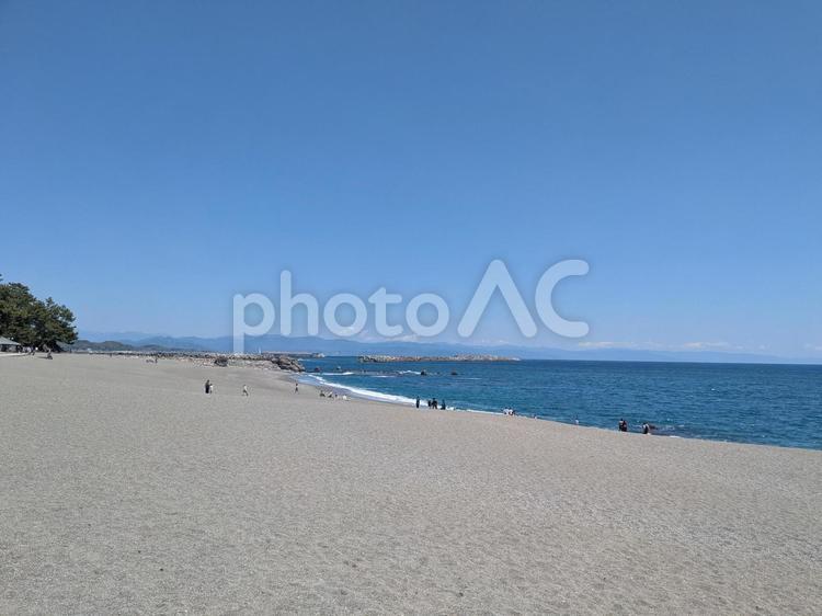桂浜の海 海,ビーチ,砂浜の写真素材