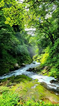 宮崎県 高千穂 宮崎県 高千穂の写真