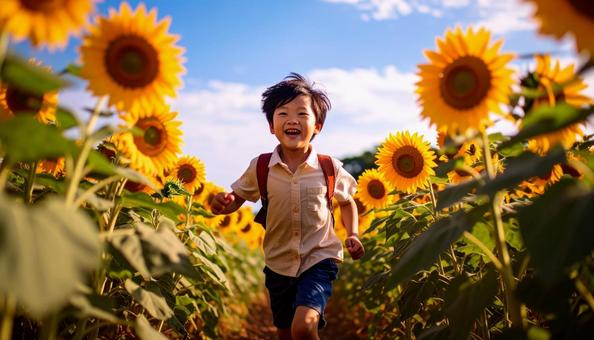 ひまわり畑を走る子供の写真