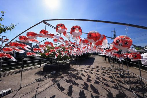 金魚ちょうちん祭り 金魚ちょうちん祭り 金魚ちょうちん祭り,柳井金魚ちょうちん祭り,金魚ちょうちんの写真素材
