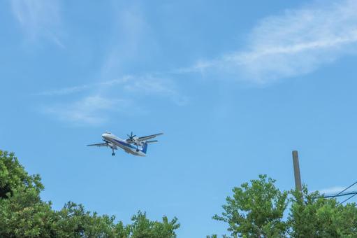 福岡空港、夏の滑走路への穏やかな着陸 福岡空港、夏の滑走路への穏やかな着陸の写真