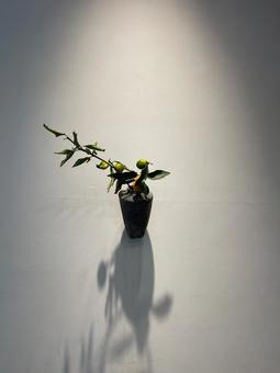 壁にかけられた花器 壁にかけられた花器の写真