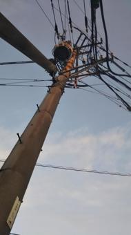 Photo, telegraph pole, wire, look up, 