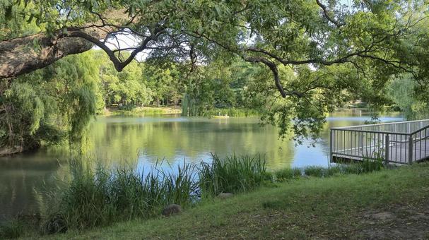 中島公園 中島公園の写真