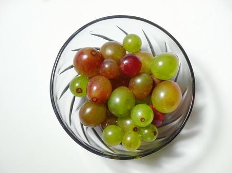 ぶどうの粒 ぶどうの粒 葡萄,ぶどう,果物の写真素材