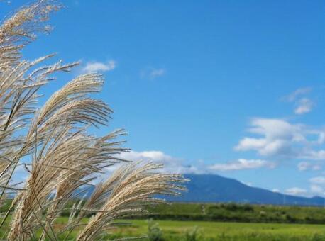 山とすすき 山とすすきの写真