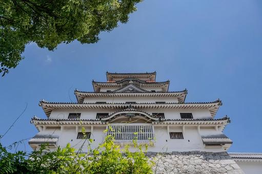 唐津城 唐津城,castle,城の写真素材