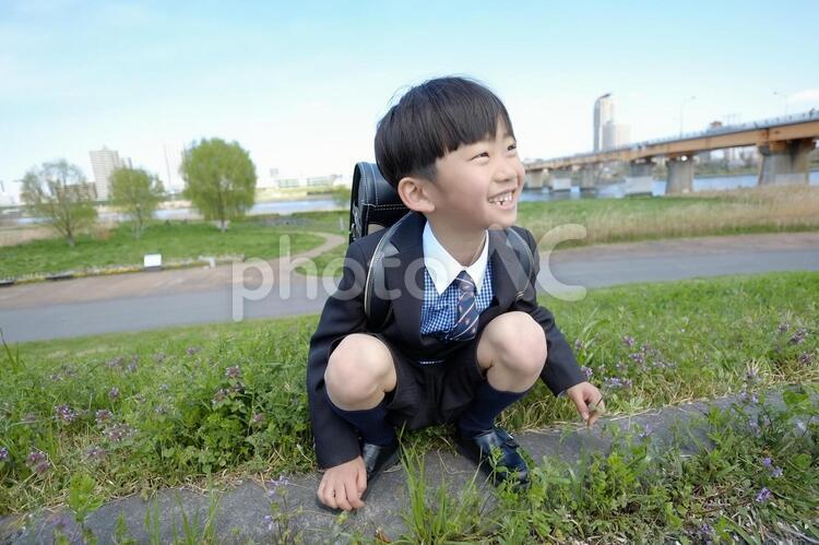 小学生の男の子23 小学生,男の子,人物の写真素材