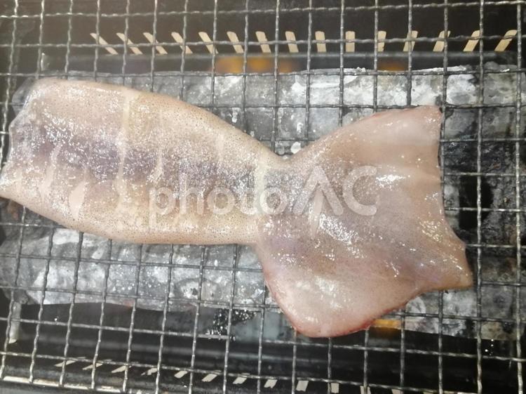 イカ焼き イカ焼き,いか焼き,イカの写真素材