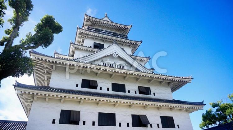 愛媛県今治市の今治城 愛媛県,今治市,今治城の写真素材