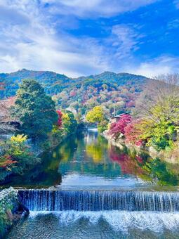 川と紅葉 川,嵐山,京都の写真素材
