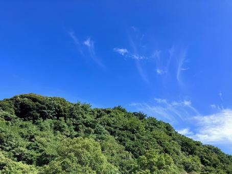 青空と新緑の風景 青空と新緑の風景 青空,新緑,風景の写真素材