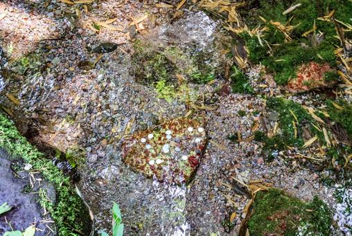 Photo, iwato mizukami, water god, heart stone, 