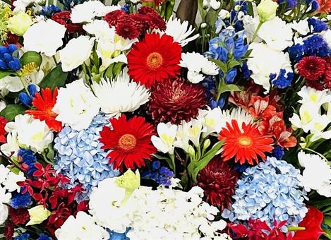 Flower image, JPG