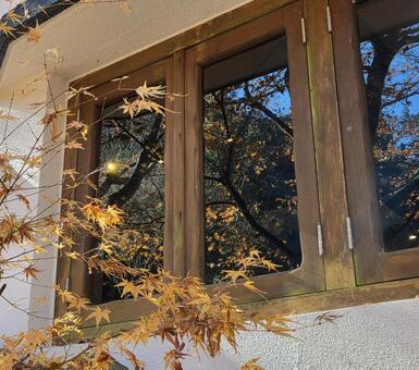 窓に映る秋 紅葉,秋,窓の写真素材
