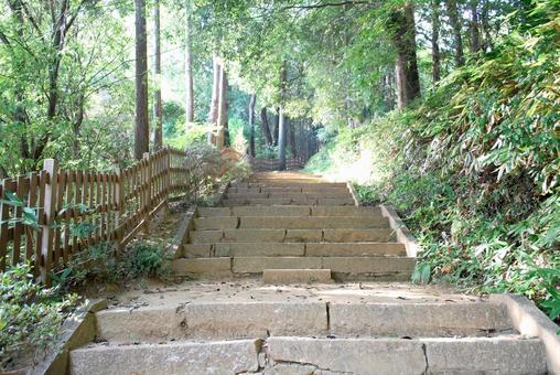 木漏れ日の石段 木漏れ日の石段の写真