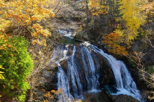 秋の関山大滝⑾ 秋,紅葉,滝の写真素材
