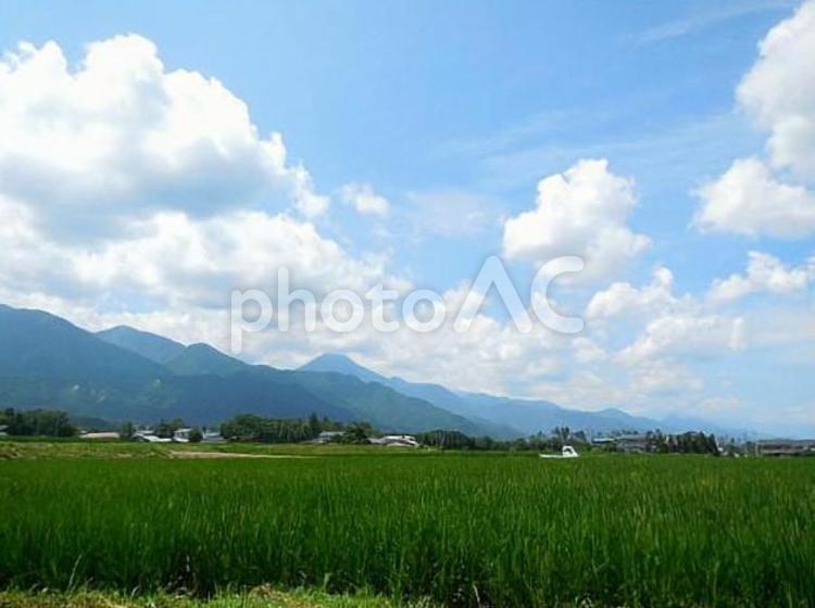 信州の田園風景 信州,田園風景,晴れの写真素材
