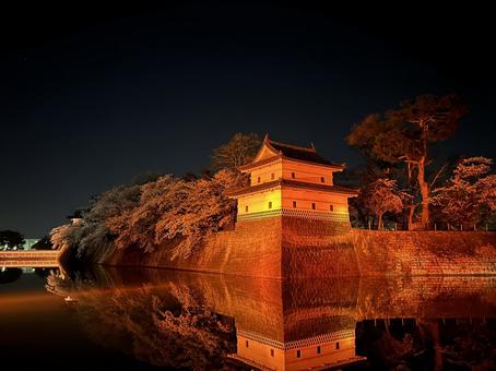 Photo, night view, niigata, shibata, 