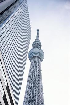 青空とスカイツリー、摩天楼 東京スカイツリー,スカイツリー,タワーの写真素材
