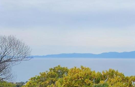 木々と海 木々と海の写真